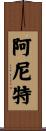Anit Scroll