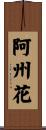 阿州花 Scroll
