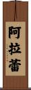 Alara Scroll