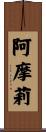 阿摩莉 Scroll