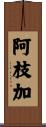 阿枝加 Scroll