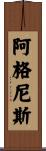Agnese Scroll