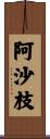 阿沙枝 Scroll