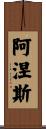 Agnes Scroll