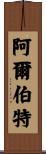 Albert Scroll