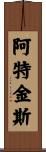 阿特金斯 Scroll