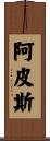 Apis Scroll
