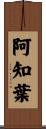 阿知葉 Scroll