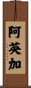 阿英加 Scroll
