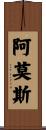 Amos Scroll