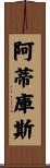 Atticus Scroll