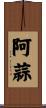 阿蒜 Scroll
