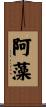 阿藻 Scroll