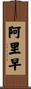 阿里早 Scroll