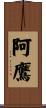 阿鷹 Scroll