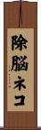 除脳ネコ Scroll