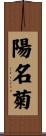 陽名菊 Scroll