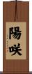 陽咲 Scroll