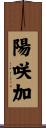 陽咲加 Scroll