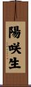 陽咲生 Scroll