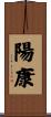 陽康 Scroll