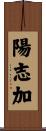 陽志加 Scroll