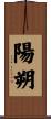 陽朔 Scroll