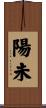 陽未 Scroll