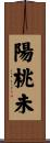 陽桃未 Scroll