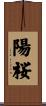 陽桜 Scroll