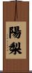 陽梨 Scroll