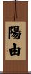 陽由 Scroll