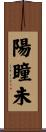 陽瞳未 Scroll