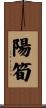 陽筍 Scroll