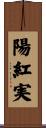 陽紅実 Scroll