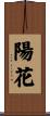 陽花 Scroll