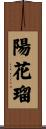 陽花瑠 Scroll