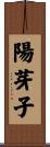 陽芽子 Scroll