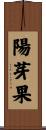 陽芽果 Scroll