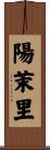 陽茉里 Scroll