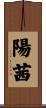 陽茜 Scroll