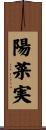 陽菜実 Scroll