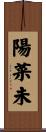 陽菜未 Scroll