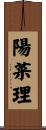 陽菜理 Scroll