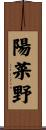 陽菜野 Scroll