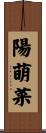 陽萌菜 Scroll
