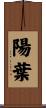 陽葉 Scroll