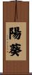 陽葵 Scroll