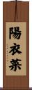 陽衣菜 Scroll