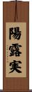 陽露実 Scroll